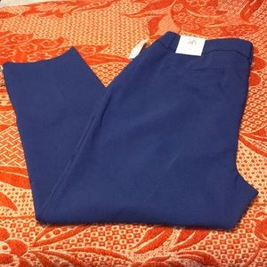 NWT Roz & Ali Pull On Royal Blue Pants (18W)